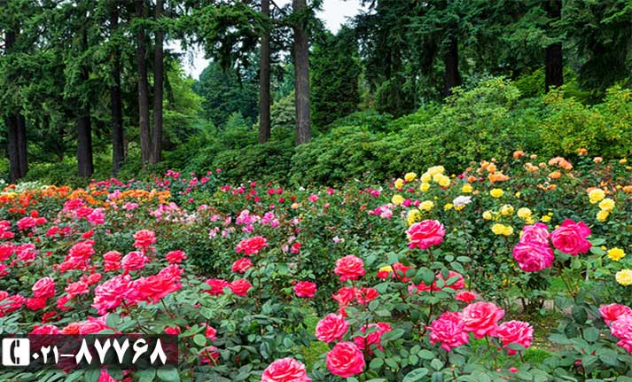 آب و هوای قونیه| ترکیه| تور قونیه|